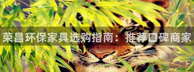 杏耀平台线路测速