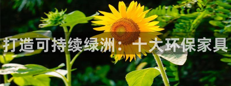 杏耀平台在哪里