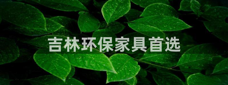 杏耀平台官方登陆：吉林环保家具首选