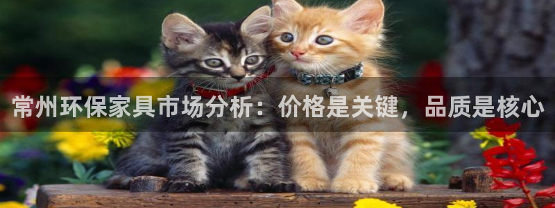 杏耀平台在哪里：常州环保家具市场分析：价格是关键，品质是核心