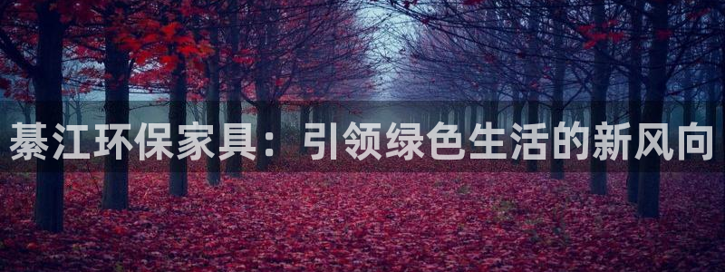 杏耀平台待遇：綦江环保家具：引领绿色生活的新风向