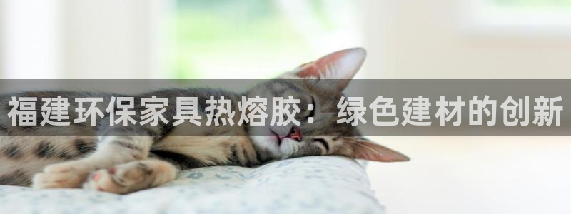 杏耀平台注册：福建环保家具热熔胶：绿色建材的创新