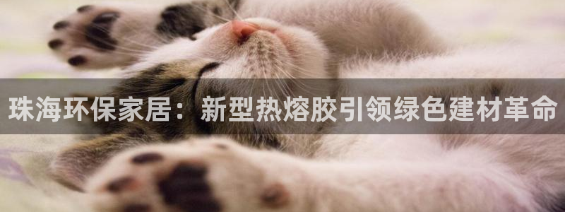 杏耀登陆电脑线路测速：珠海环保家居：新型热熔胶引领绿色建材革