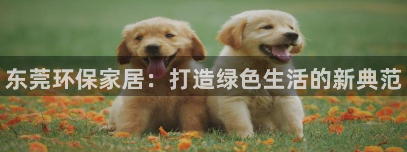 杏耀官网注册地址：东莞环保家居：打造绿色生活的新典范